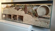 a fish tank filled with sand and gravel