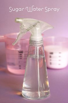 a bottle of sugar water spray sitting on top of a purple table next to containers