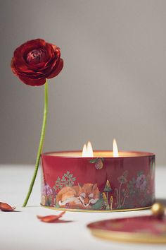 a red candle that is next to a flower