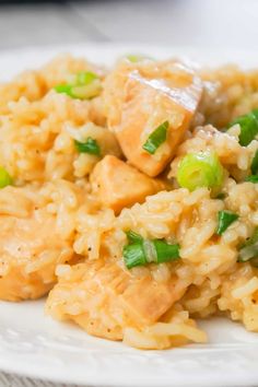 chicken and rice with green onions on a white plate, ready to be eaten for lunch