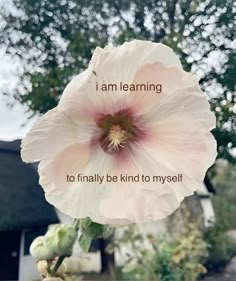 a pink flower with the words i am learning to finally be kind to my self