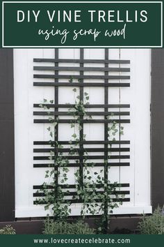 a vine trellis hanging on the side of a building with text overlay that reads diy vine trellis using scrap wood