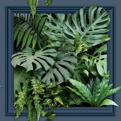 a blue frame filled with lots of green plants and leaves on top of each other