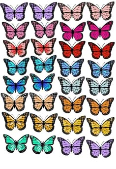 many different colored butterflies on a white background