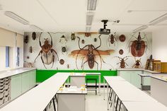 an office with lots of desks and large bugs on the wall