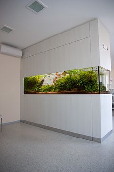 a fish tank sitting on top of a white wall