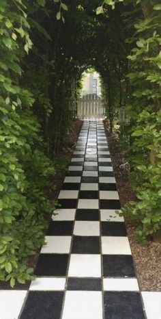 a black and white checkered walkway surrounded by trees