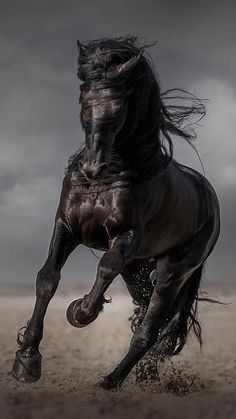 a black horse is galloping in the sand on a cloudy day with dark clouds