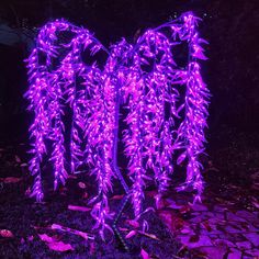 purple lights in the shape of an angel on top of a tree with leaves around it