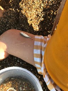 a person with their arm around a bowl full of dirt and gravel, holding something in it's right hand