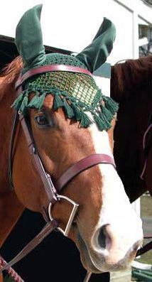 two brown horses with green bridles on their heads and one has a white nose