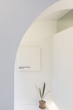 a potted plant sitting on top of a white counter next to a wall mounted sign