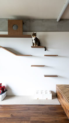 a cat sitting on top of a wooden shelf