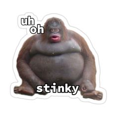 a sticker with the words stinky on it's face and an orangutan sitting down