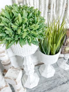 three potted plants sitting on top of a wooden table next to a white radiator