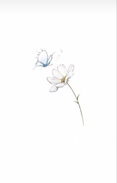 two white flowers with water splashing on them and one blue butterfly in the background