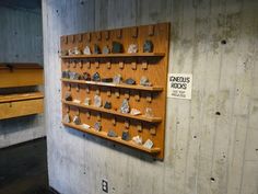 there are many shelves with rocks on them in the room and one shelf is empty