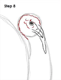 a drawing of a bird with the words step 8 written in red and black ink