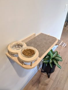 two bowls with food in them are sitting on a cat shelf next to a potted plant