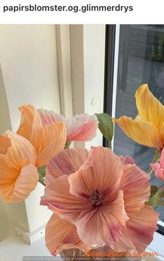 there are three flowers in a vase on the window sill, one is pink and yellow