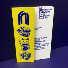 a yellow and blue brochure with an image of a cat on it's back