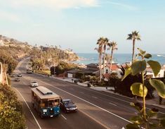 two buses driving down the road next to some palm trees and ocean in the background