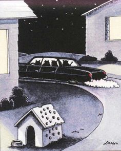 a black car driving down a street next to a doghouse and a cat house