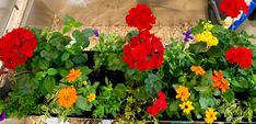 many different colored flowers are in a planter