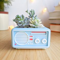 an old fashioned radio with succulents in it