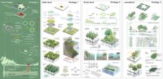 an info sheet shows the various types of trees and shrubs in different stages of development