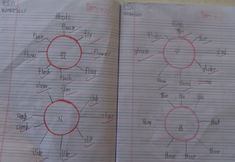 an open notebook with red circles and lines drawn on it's side, in which the circle is labeled