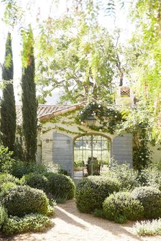 a garden with bushes and trees surrounding the entrance to a house that is surrounded by greenery