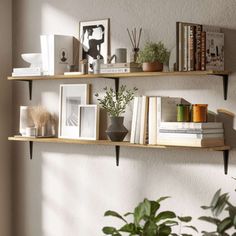 two wooden shelves with books and plants on them in front of a wall mounted planter