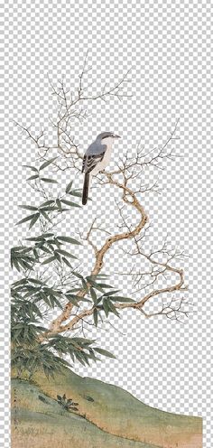 a bird sitting on top of a tree branch