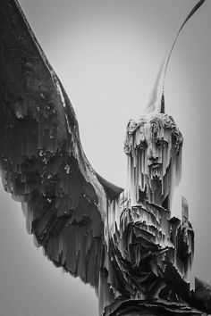 an artistic black and white photo of a statue with wings on it's head