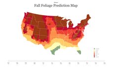 a map shows the percentage of people living in each state