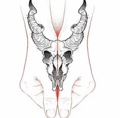 an animal skull with long horns on it's head and the lower half of its body