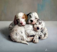 three puppies cuddle together on a gray surface