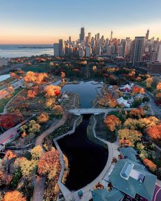 an aerial view of a city with lots of trees