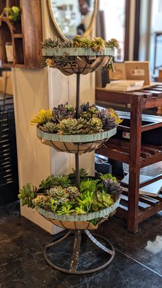 three tiered trays filled with succulents on top of a table