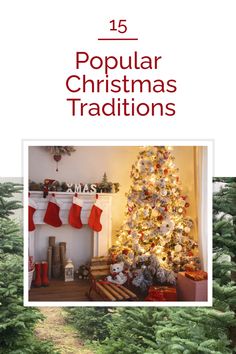 a christmas tree with stockings and stockings hanging from it's branches in front of a fireplace