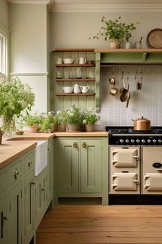 a kitchen with green cabinets and an old fashioned stove top oven in the center, surrounded by potted plants