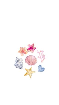 watercolor painting of seashells and starfish with pink flowers on white background