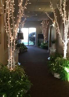 the hallway is decorated with christmas lights and potted plants