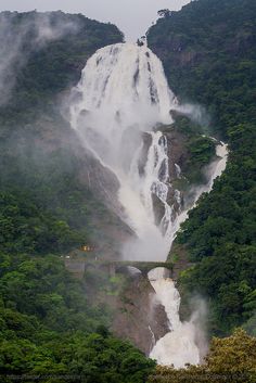 a large waterfall in the middle of a forest