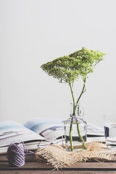 a plant in a vase sitting on top of a table next to an open book