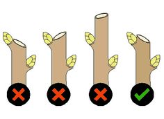 four different types of electrical wires with green and red arrows pointing to the same direction