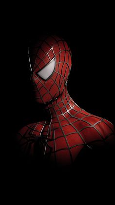 the amazing spider - man is seen in this image