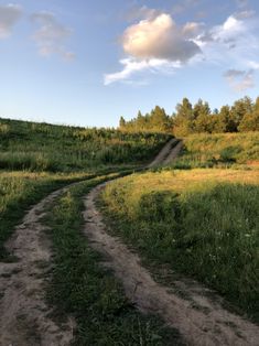 a dirt road in the middle of a grassy field