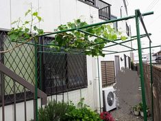 an alley way with plants and flowers growing on the side of it in front of a building